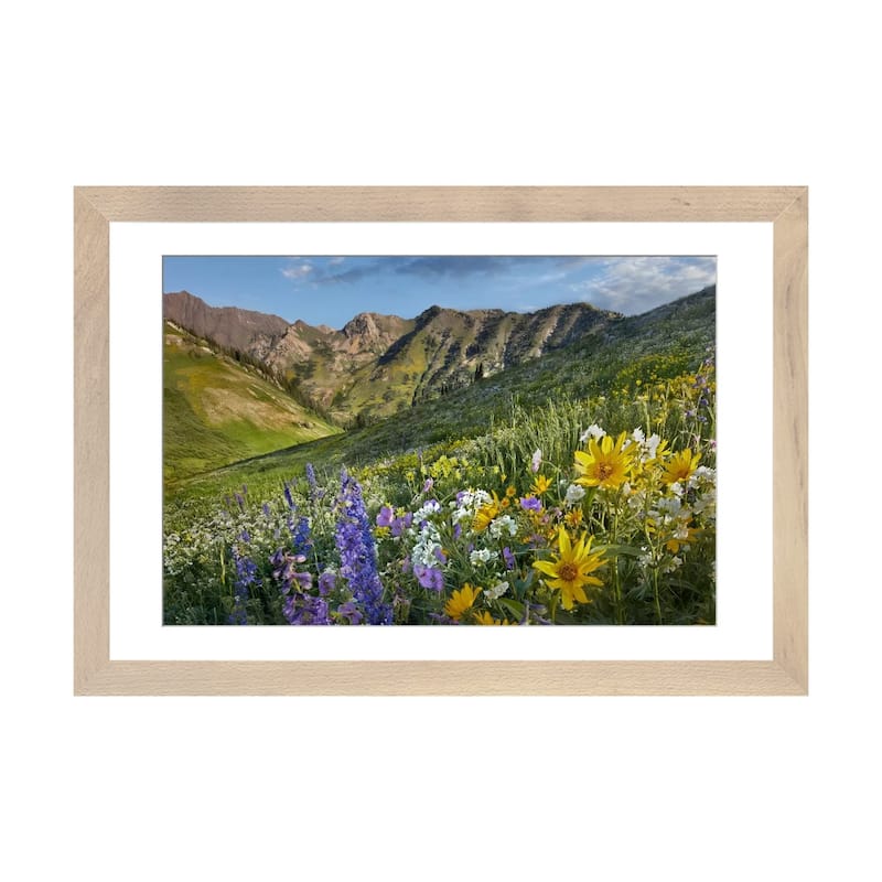 iCanvas "Larkspur And Sunflowers, Albion Basin, Wasatch Range, Utah" by